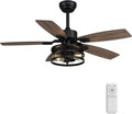 42 Inch Caged Ceiling Fan With Remote Control For Indoor And Outdoor