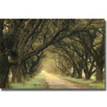 Artistic Home Gallery 1624968CG Evergreen Alley by William Guion Premi