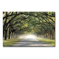 Artistic Home Gallery 1624Q798CG Hope & Glory by Mike Jones Premium Ga
