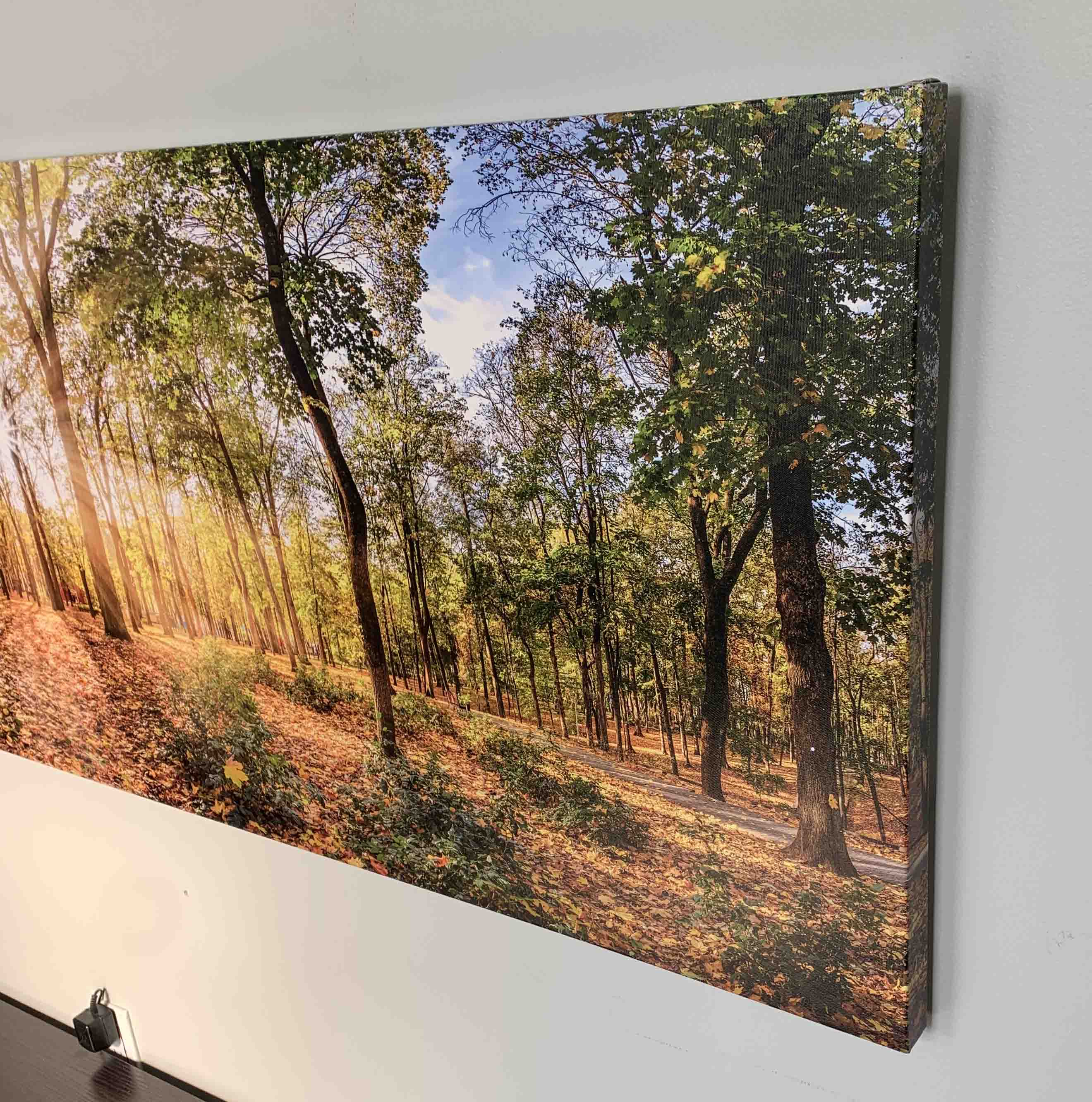 Canvas Print-Autumn Trees-Wall art