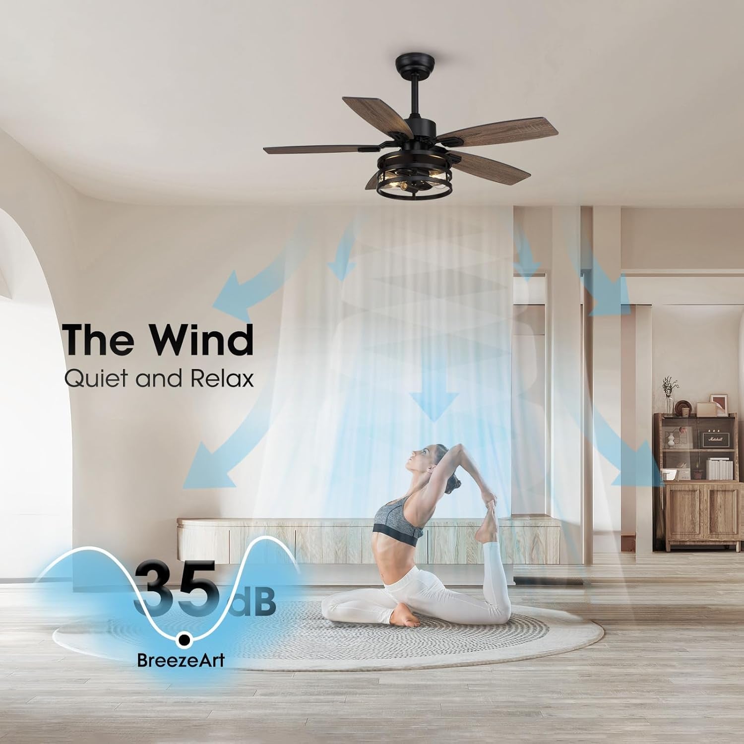 42 Inch Caged Ceiling Fan With Remote Control For Indoor And Outdoor
